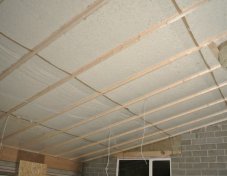 1526719_370845519750880_565764437620340136_n